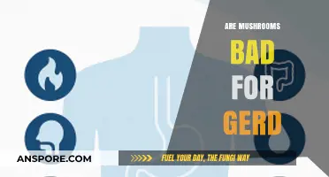 Mushrooms and GERD: Are They Safe or Triggering Symptoms?