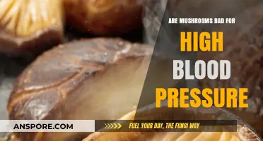 Mushrooms and Hypertension: Are They Safe for High Blood Pressure?