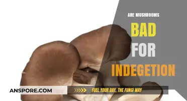 Mushrooms and Indigestion: Debunking Myths and Understanding Digestive Impact