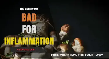 Mushrooms and Inflammation: Uncovering Their Role in Reducing Chronic Inflammation