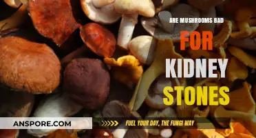 Mushrooms and Kidney Stones: Debunking Myths and Understanding Risks