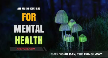 Mushrooms and Mental Health: Debunking Myths and Exploring Benefits