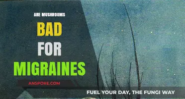 Mushrooms and Migraines: Unraveling the Truth Behind the Headache Myth