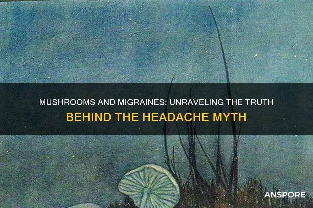 are mushrooms bad for migraines