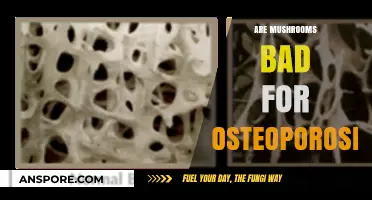 Mushrooms and Osteoporosis: Debunking Myths for Stronger Bones
