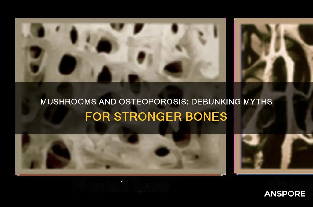are mushrooms bad for osteoporosis