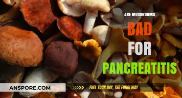 Mushrooms and Pancreatitis: Safe or Risky for Your Pancreas Health?