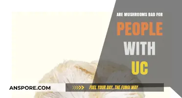 Mushrooms and UC: Are They Safe for Ulcerative Colitis Diets?