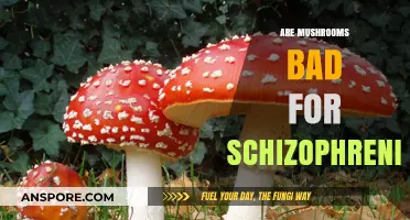 Mushrooms and Schizophrenia: Unraveling the Risks and Realities
