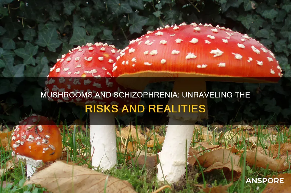 are mushrooms bad for schizophrenia