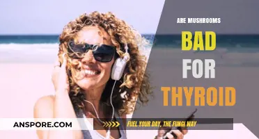 Mushrooms and Thyroid Health: Debunking Myths and Understanding Risks