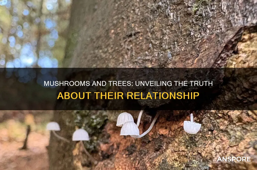 are mushrooms bad for trees