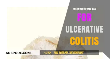 Mushrooms and Ulcerative Colitis: Safe or Harmful for Your Gut?