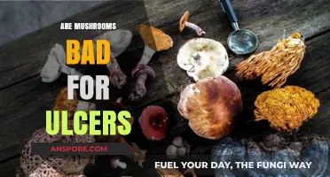 Mushrooms and Ulcers: Debunking Myths for Stomach Health