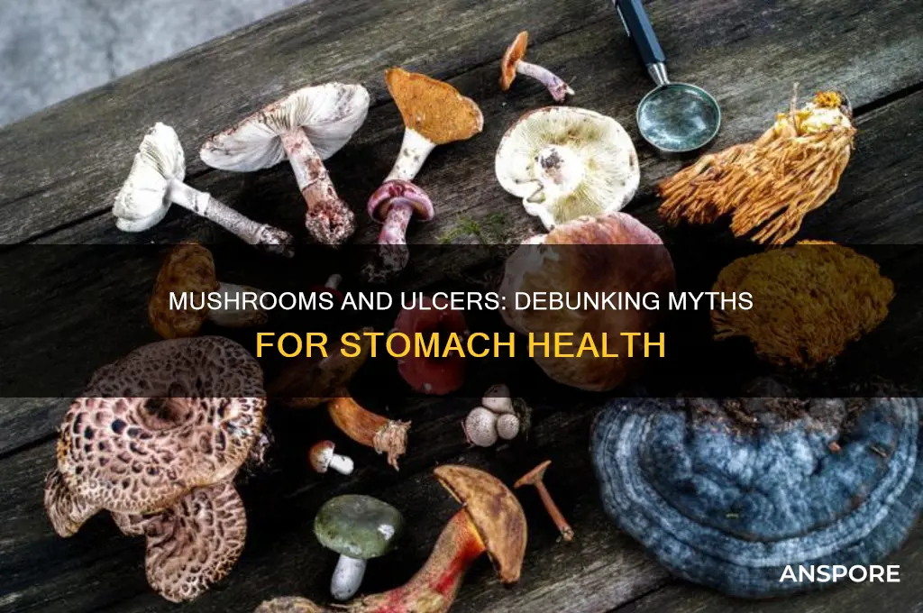are mushrooms bad for ulcers