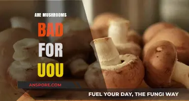 Are Mushrooms Bad for You? Unveiling the Truth About Fungal Health