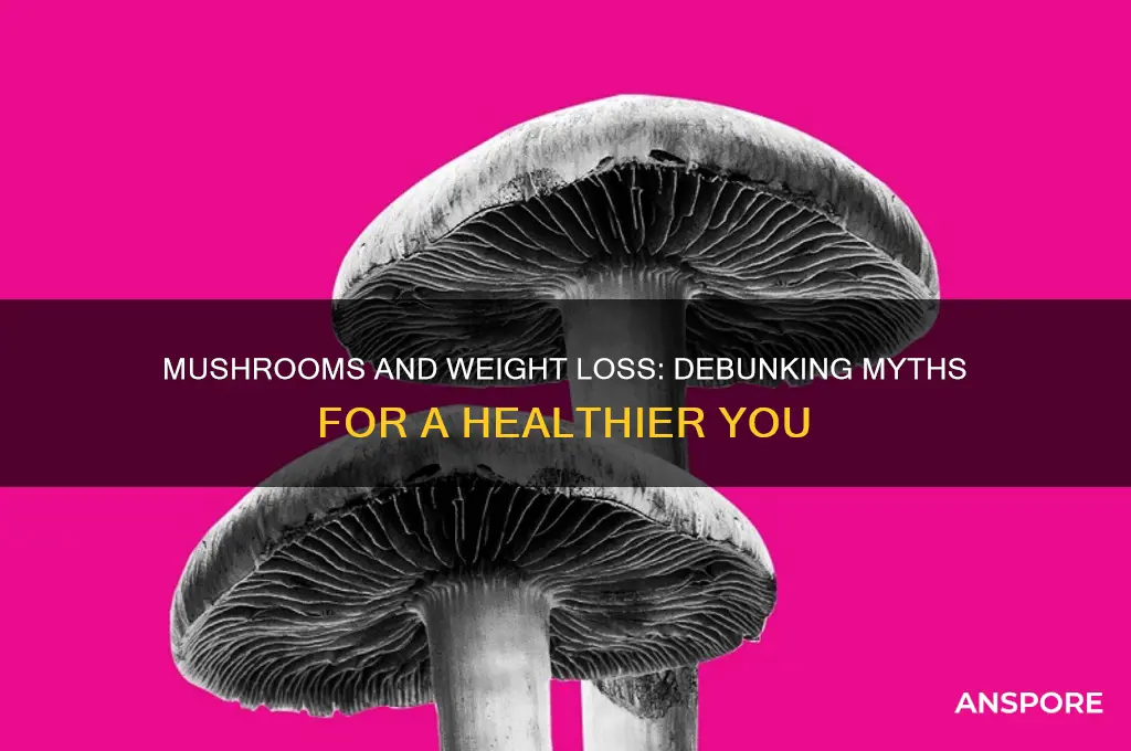 are mushrooms bad for weight loss