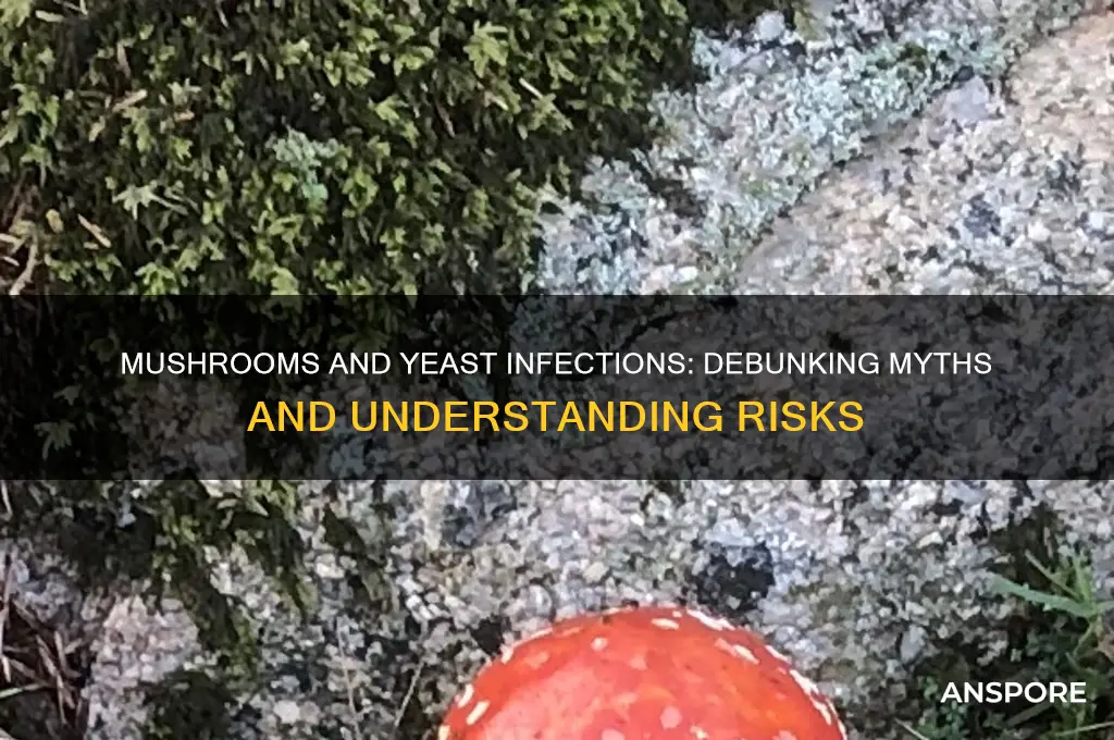 are mushrooms bad for yeast infections
