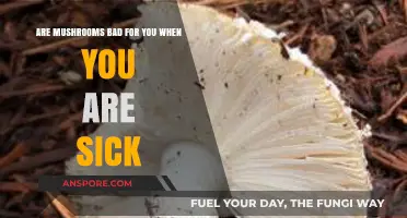 Mushrooms and Illness: Are They Safe When You're Feeling Sick?