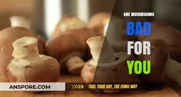 Are Mushrooms Bad for You? Unveiling the Truth About Fungal Health