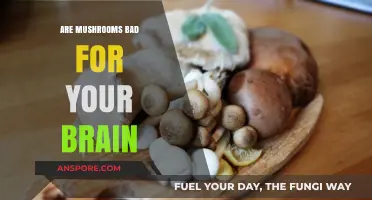 Mushrooms and Brain Health: Debunking Myths and Uncovering Truths