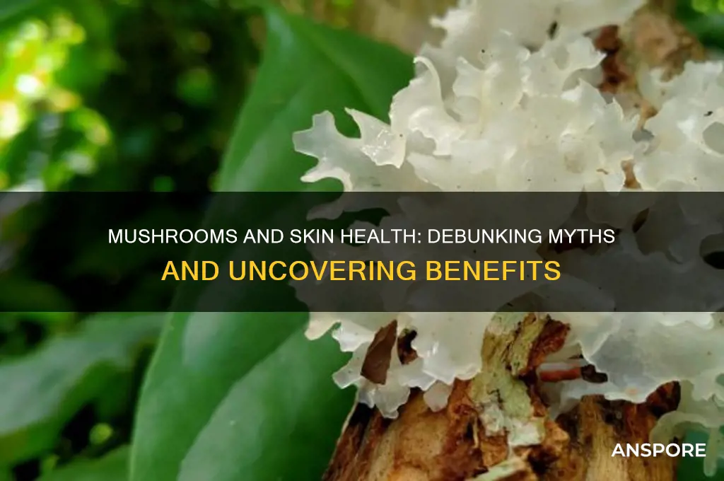 are mushrooms bad for your skin