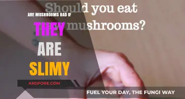 Are Slimy Mushrooms Safe to Eat? A Fungal Food Guide