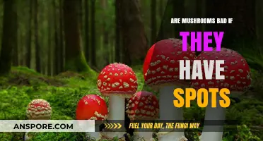 Spotted Mushrooms: Are They Safe to Eat or Toxic?