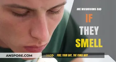 Mushroom Smell: Harmless Aroma or Sign of Spoilage?