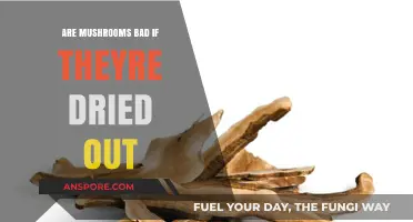 Dried Mushrooms: Are They Still Safe and Nutritious to Eat?