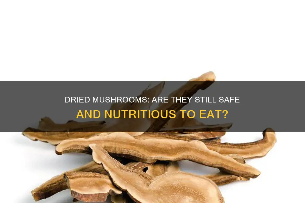 are mushrooms bad if theyre dried out