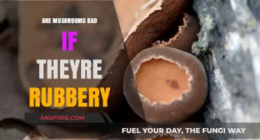 Rubbery Mushrooms: Are They Safe to Eat or Should You Avoid?