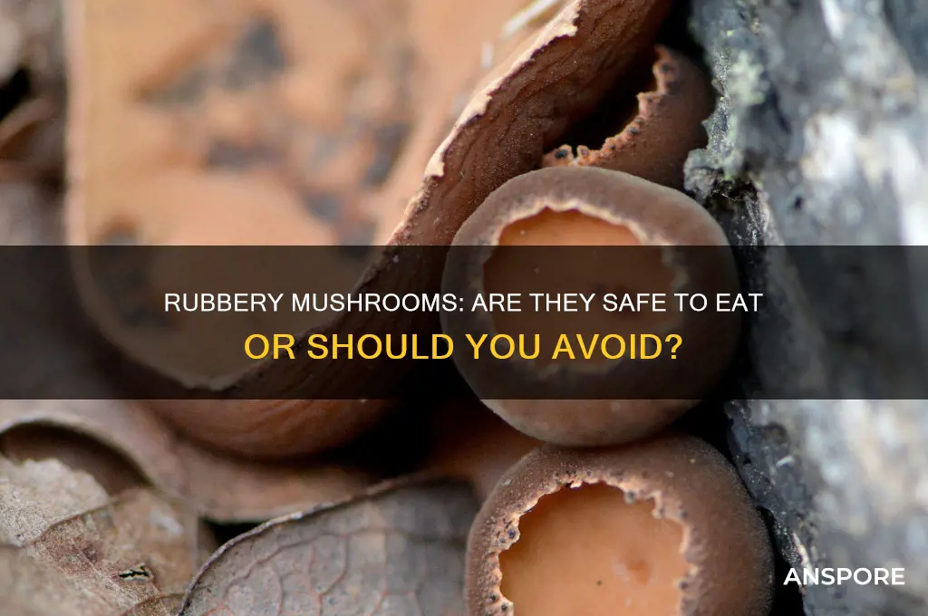 are mushrooms bad if theyre rubbery