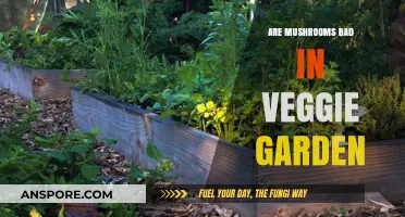 Mushrooms in Veggie Gardens: Friend, Foe, or Fungal Mystery?