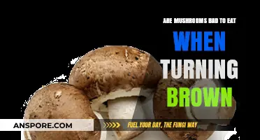 Are Browning Mushrooms Safe to Eat? Debunking the Myth