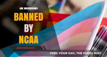 Mushrooms: NCAA's Forbidden Superfood?