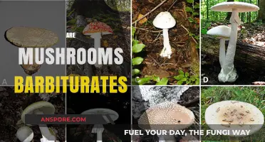 Mushrooms: Natural Barbiturates or Not?