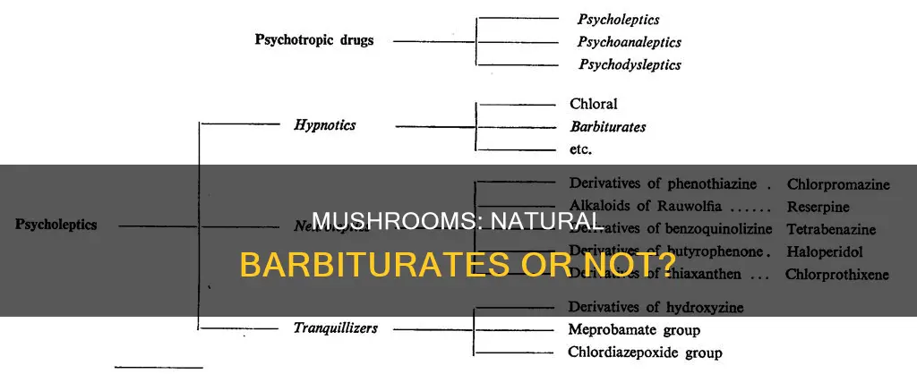 are mushrooms barbiturates