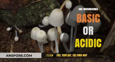 Mushrooms: Acidic or Alkaline?
