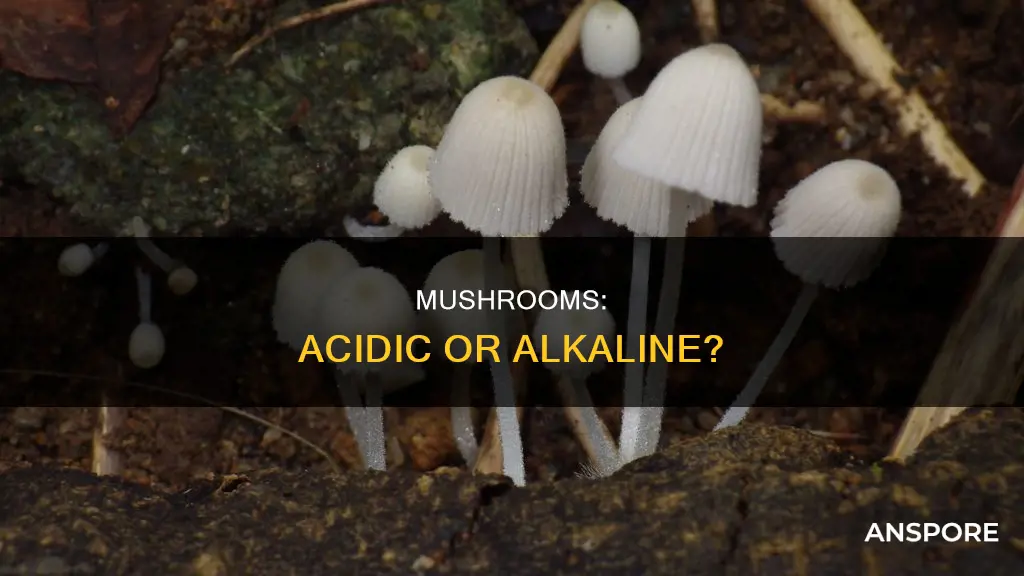 are mushrooms basic or acidic