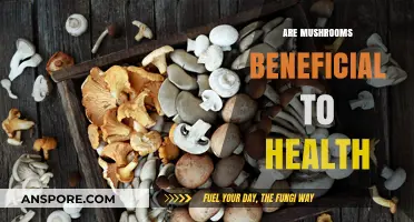 Mushrooms: Superfood for Your Health?