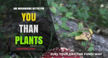 Mushrooms vs. Plants: Which Offers Superior Health Benefits?