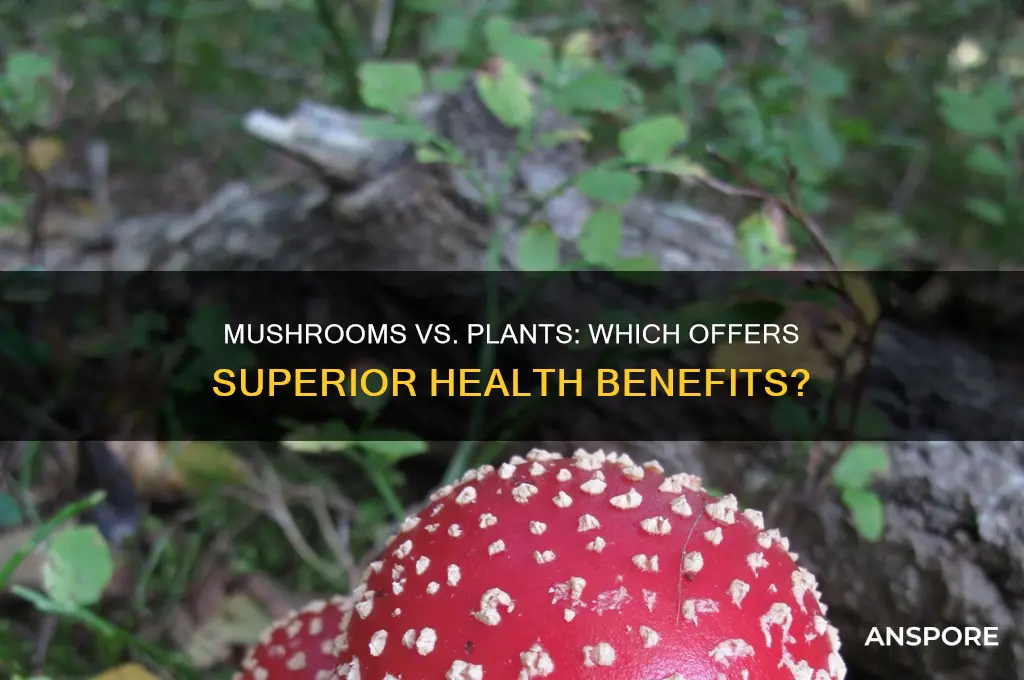 are mushrooms better for you than plants