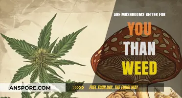 Mushrooms vs. Weed: Which Offers Superior Health Benefits?