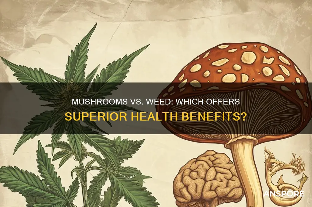 are mushrooms better for you than weed