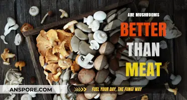 Mushrooms: A Healthier Meat Alternative?