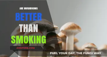 Mushrooms: A Safer, Healthier High?