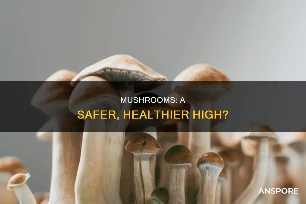 are mushrooms better than smoking