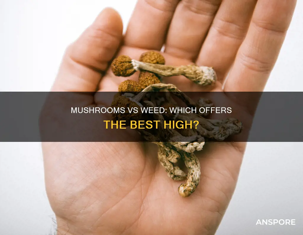 are mushrooms better than weed
