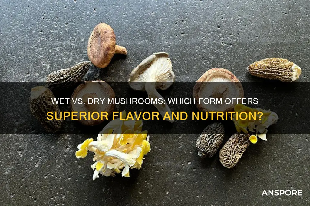 are mushrooms better wet or dry